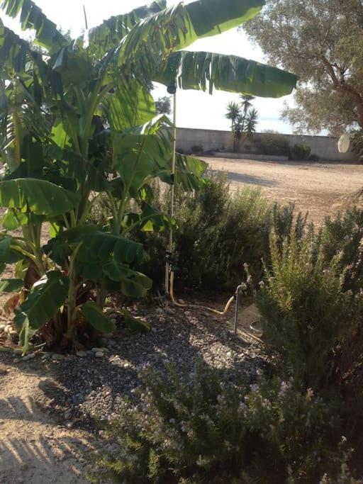 הוילה אגם ווליאגמני House By The Sea At Skaloma, Loutraki מראה חיצוני תמונה