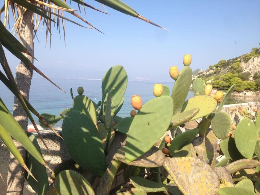 הוילה אגם ווליאגמני House By The Sea At Skaloma, Loutraki מראה חיצוני תמונה